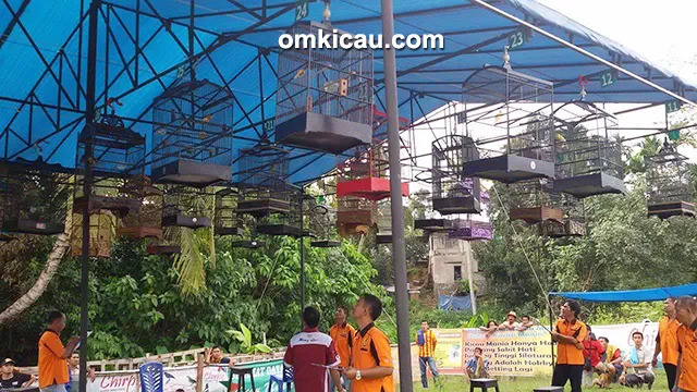 Lomba burung berkicau CD Cup II Bangko
