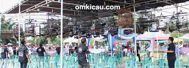 Lomba burung berkicau Hose BF Cup 1 Jambi