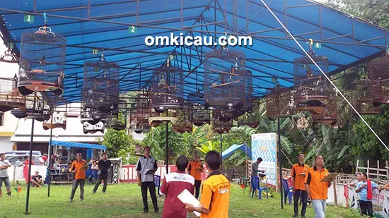 Lomba burung berkicau CD Cup II Bangko