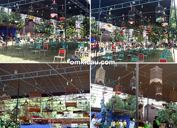 Lomba burung berkicau ILS Koprol Kudus