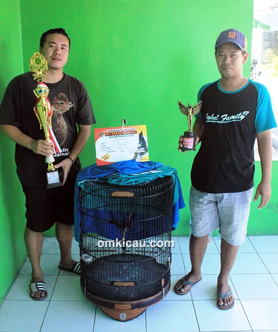 Om Axing dan murai batu Topas