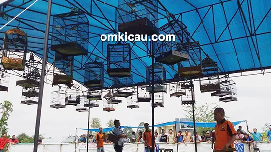 Lomba burung berkicau CD Cup II Bangko