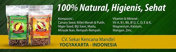 Spesial Gacor - Spesial Budidaya - Pakan kenari SKC JOGJA Product