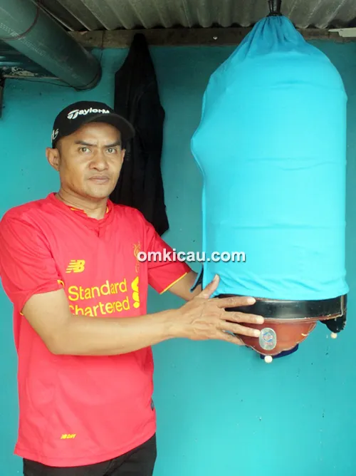 Tips orbitkan lovebird jawara