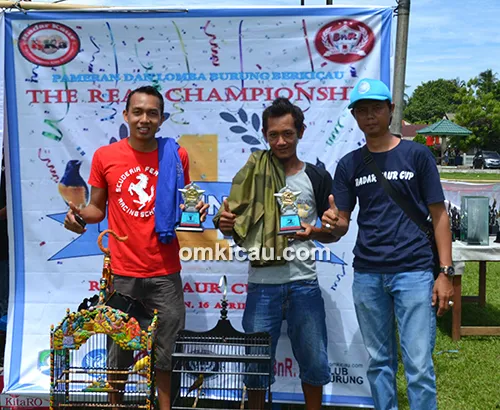 Lomba burung Radar Kaur Cup