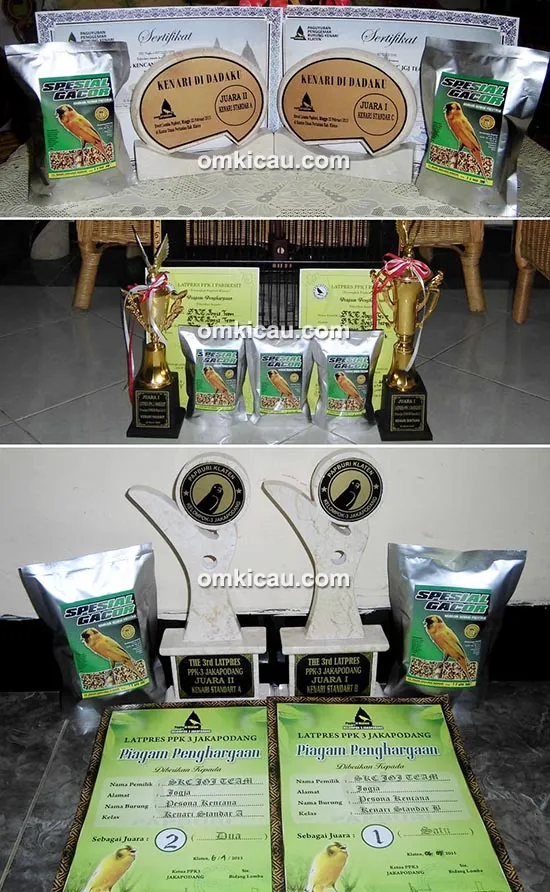 Spesial Gacor - Spesial Budidaya - Pakan kenari SKC JOGJA Product