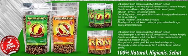 SKC JOGJA Product