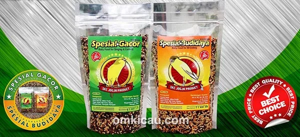 Spesial Gacor - Spesial Budidaya - Pakan kenari SKC JOGJA Product