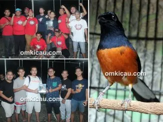 Feat Jawara Singa Nusantara