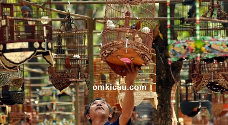 Solusi untuk burung yang sering ngetem di lapangan