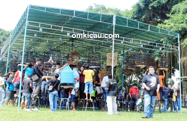 Piala Pakualam 5