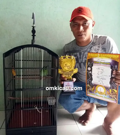 Cucak hijau Wan Hay