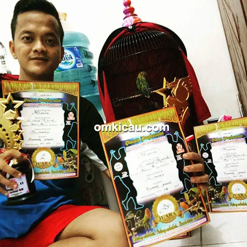 Om Jol Jol dan lovebird Mimin