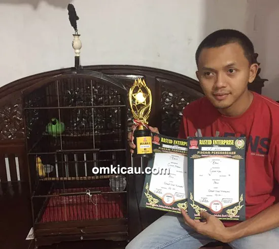 Cucak ijo Brio