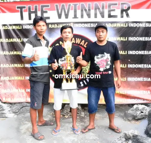 Kebo Hitam SF
