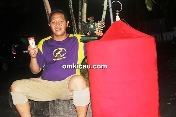 Mr King dan murai batu Kawagucci Jr