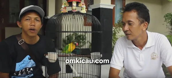 loebird Sak Masek