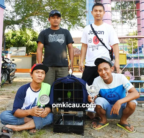 Om Mail dan cucak hijau SJR