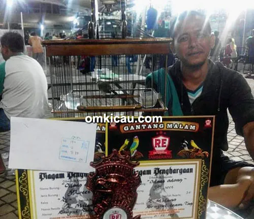 Pleci Odong Odong