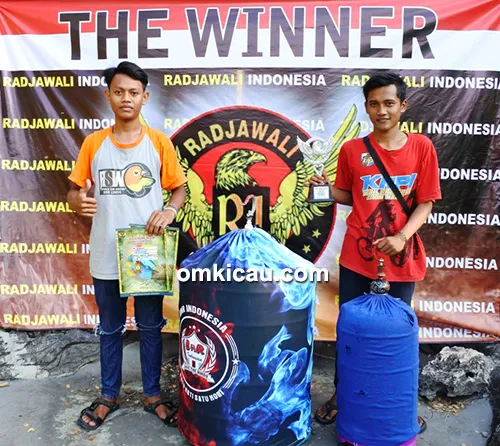 RSW SF dan murai batu Casanova