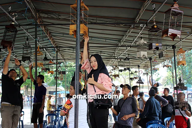 Lomba burung berkicau Gebyar Putri Tunggal