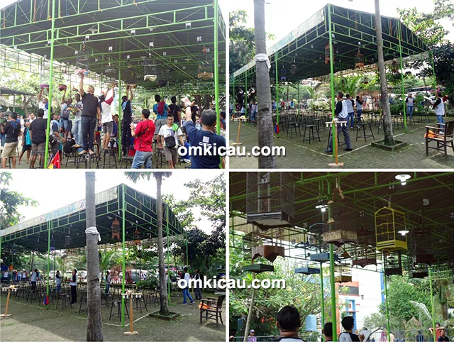 lomba burung berkicau Capung Cup 2 Jepara
