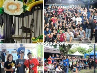 Feat Anniversary CMJ