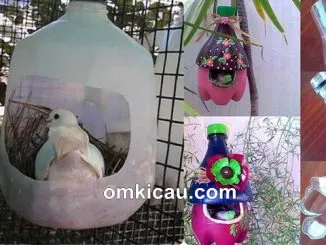 Membuat tempat sarang cantik dari botol bekas
