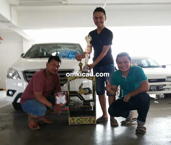 tips perawatan cendet perawatan cendet