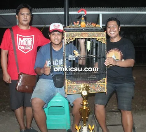 hasil lomba burung