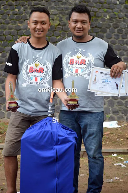 perawatan burung cendet tips perawatan burung cendet