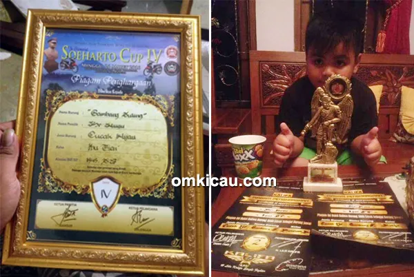 cucak ijo juara cucak ijo jawara