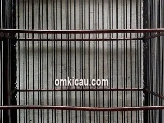 Cara mudah membuat jeruji sangkar sendiri