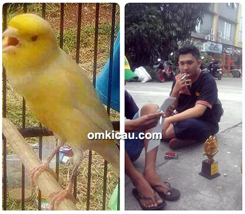 Kenari Eyang Subur