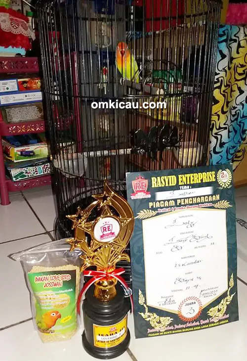 Gantangan RE Muci Lovebird Loly