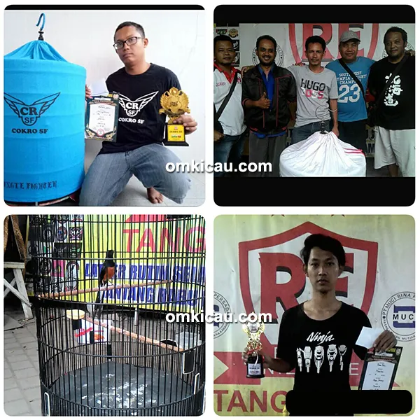 Gantangan RE Muci Juara Di Kelas Murai Batu