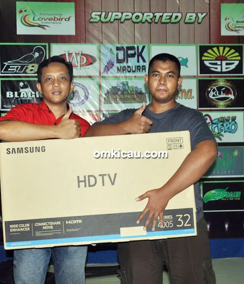 beauty contest lovebird KLI Madura beauty contest lovebird KLI Madura