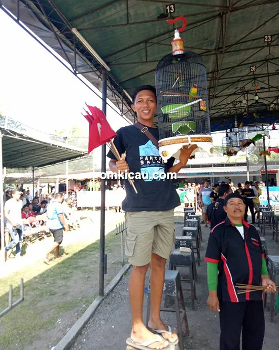 piala silfa sf Lovebird Sak Masek