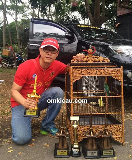 cucak ijo new ferrari cucak ijo new ferrari