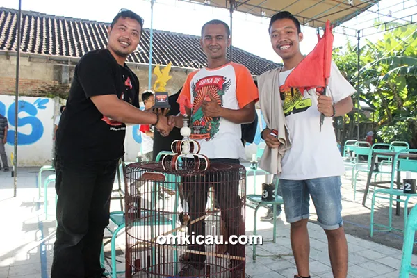 murai batu Dida