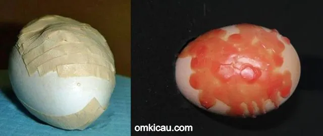 mengatasi telur retak Beberapa cara mengatasi telur retak
