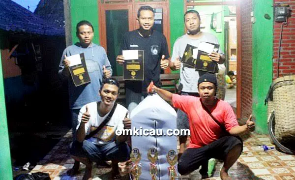 ciblek jablay cendet jablay
