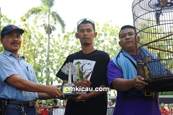 Murai batu Avatar