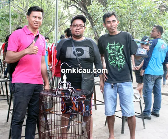 Murai batu Dakota