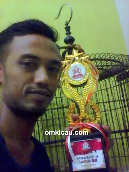 Murai batu Aliando