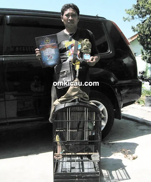 cucak ijo Gareng
