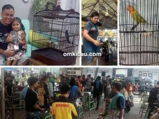 Latber RE Muci Tangerang