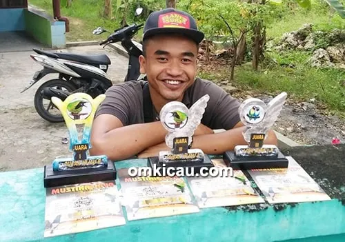 cucak ijo Otong