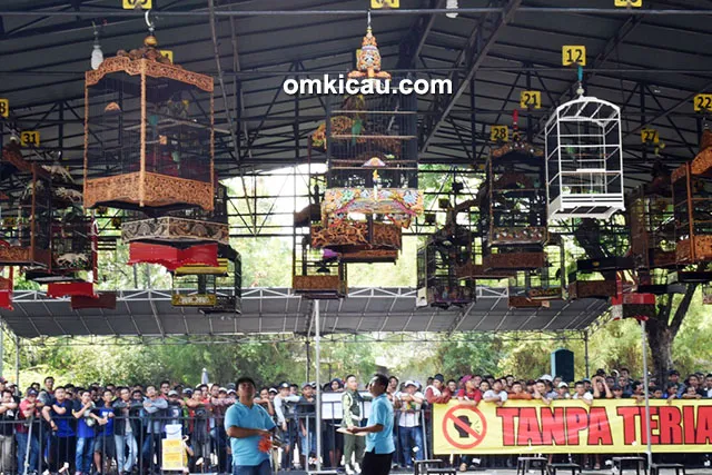 Pakde Karwo Cup VII