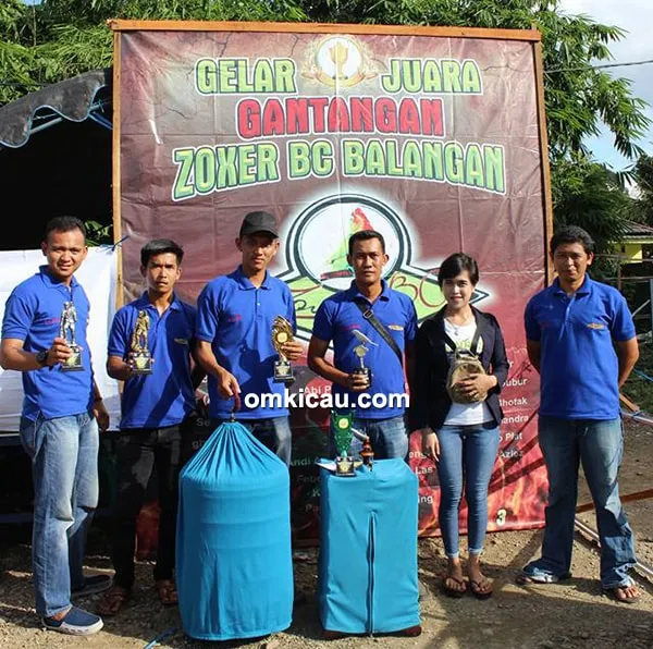 cucak hijau Cemot
